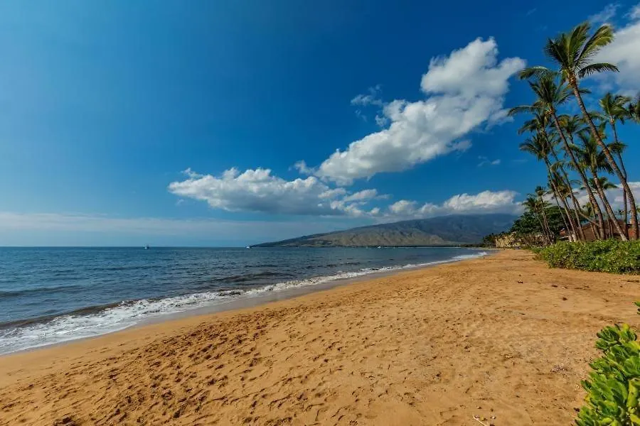 Kihei Beach #504 Condo